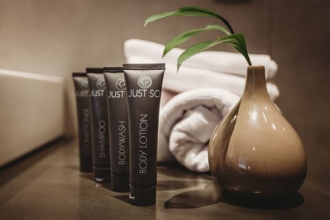 Shower, free toiletries, hair dryer, towels