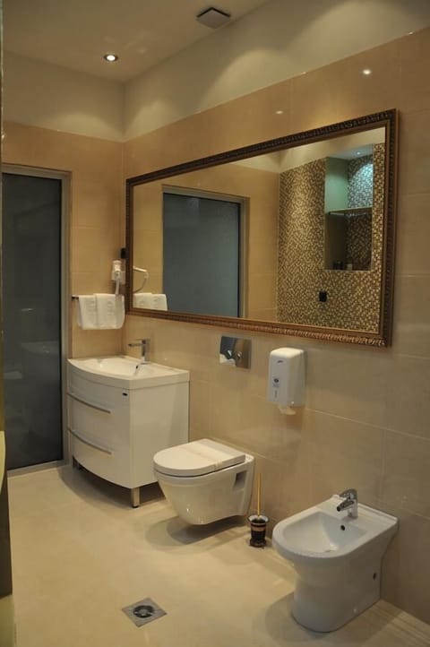 Shower, hair dryer, slippers, bidet