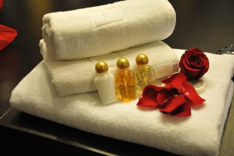 Shower, hair dryer, slippers, bidet