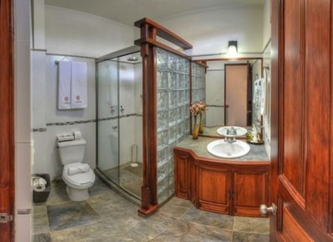 Room, 1 King Bed, Non Smoking | Bathroom | Shower, rainfall showerhead, free toiletries, hair dryer