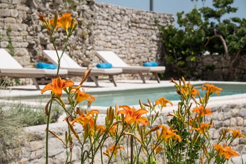 Unique Antistress Oasis Villa Antiqua | Garden view
