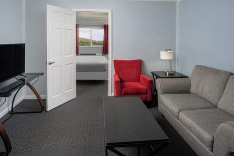 Basic Room, 1 King Bed, Non Smoking | In-room safe, blackout drapes, iron/ironing board, free WiFi