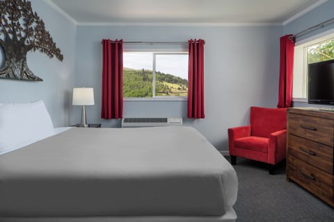 Basic Room, 1 King Bed, Non Smoking | In-room safe, blackout drapes, iron/ironing board, free WiFi