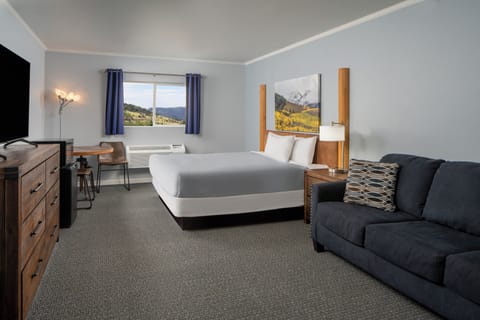 Basic Room, 1 King Bed, Non Smoking | In-room safe, blackout drapes, iron/ironing board, free WiFi