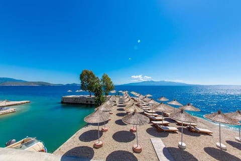 Sun loungers, beach umbrellas, motor boating, fishing