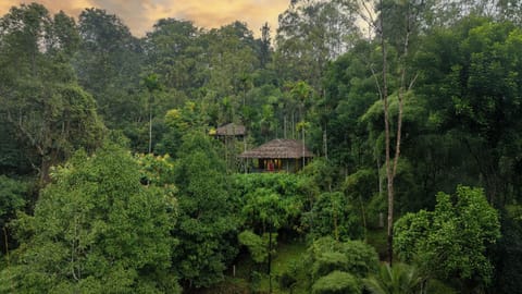 Ebony Elevated Cottage | 1 bedroom, minibar, individually furnished, blackout drapes