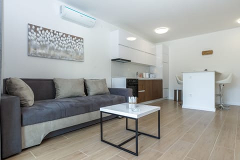 Deluxe Apartment, 1 Bedroom, Terrace | Living room | 55-inch flat-screen TV with satellite channels, TV