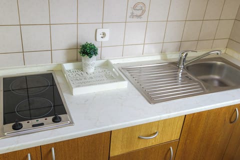 Apartment, 1 Bedroom, Terrace | Private kitchen | Fridge, stovetop, electric kettle, griddle