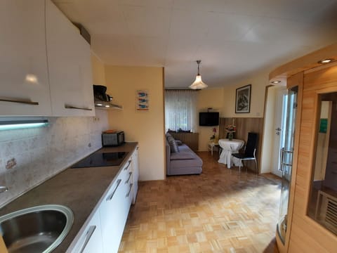 Comfort Apartment, 1 King Bed with Sofa bed, Sauna, Hill View | Private kitchen | Full-size fridge, oven, stovetop, dishwasher