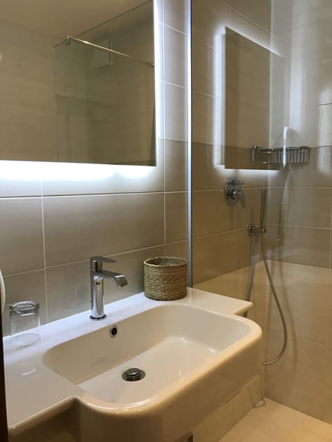 Shower, hair dryer, bidet, towels