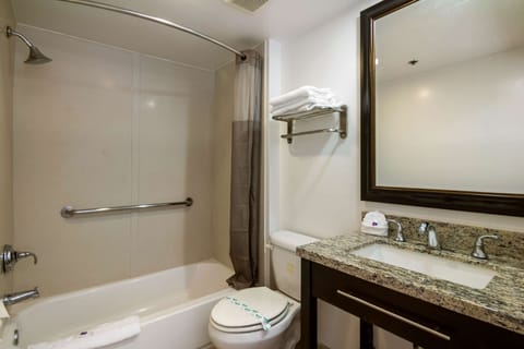 Combined shower/tub, hair dryer, towels