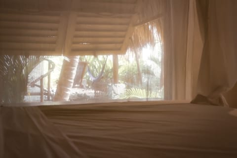 Design Room, 1 King Bed, Non Smoking, Beach View | Egyptian cotton sheets, premium bedding, in-room safe, desk