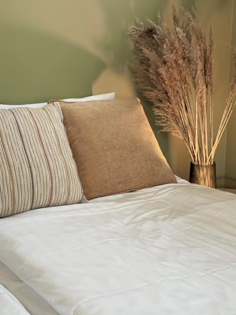 Standard Double Room, 2 Twin Beds | Individually furnished, desk, laptop workspace, blackout drapes