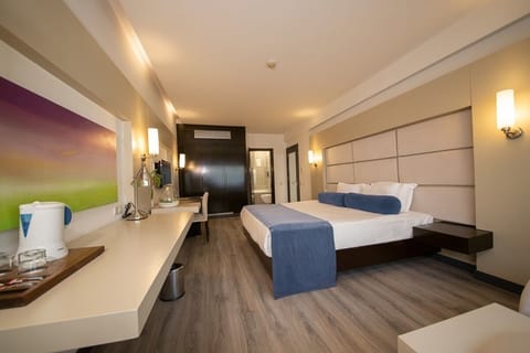 Deluxe Double Room | Egyptian cotton sheets, premium bedding, minibar, in-room safe