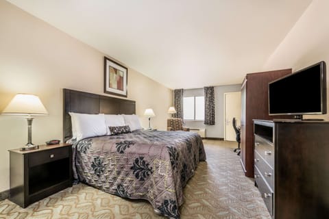 Standard Room, 1 King Bed | In-room safe, desk, iron/ironing board, free cribs/infant beds