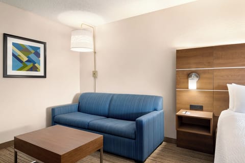 Suite, 1 King Bed with Sofa bed | Room amenity