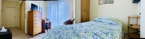 Single Room | Living room | Flat-screen TV