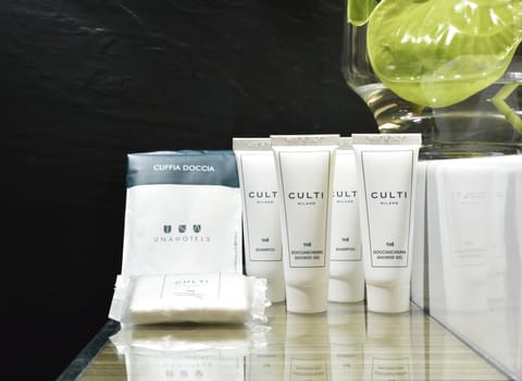 Combined shower/tub, free toiletries, hair dryer, bidet