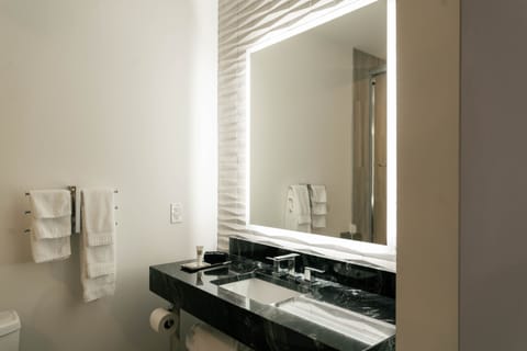 Shower, rainfall showerhead, designer toiletries, hair dryer