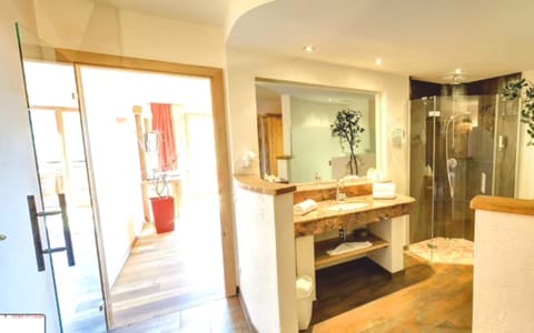 Junior Suite, 1 Double Bed, Balcony, Mountain View (with Sofabed) | Bathroom | Shower, free toiletries, hair dryer, bathrobes