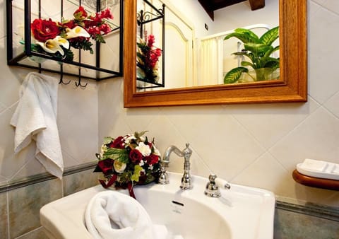 Shower, free toiletries, hair dryer, bidet