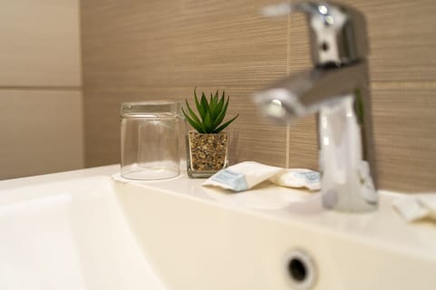 Shower, hydromassage showerhead, free toiletries, hair dryer