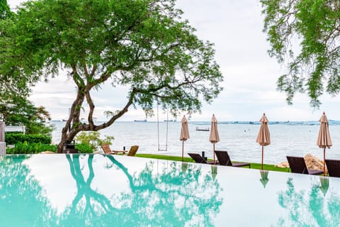 Outdoor pool, sun loungers