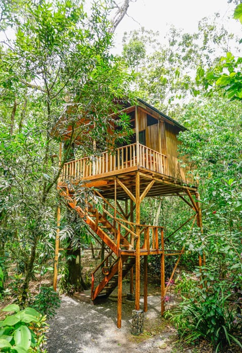 The Toucan Tree House | Premium bedding, in-room safe, individually decorated