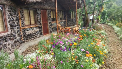 Family Room, Garden View | Garden view