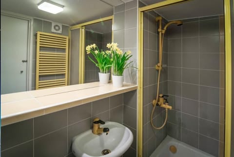 Economy Duplex | Bathroom | Combined shower/tub, hair dryer, towels