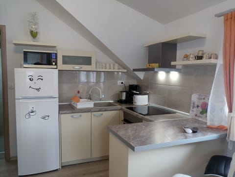 Deluxe Apartment (Studio 1) | Private kitchen | Stovetop, blender, griddle, eco-friendly cleaning products