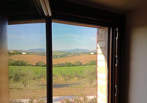 Land view from property