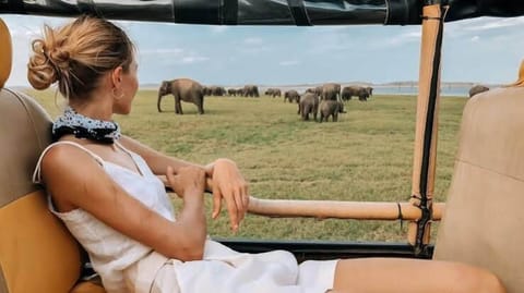 Safari