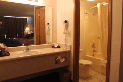 Combined shower/tub, free toiletries, hair dryer, towels