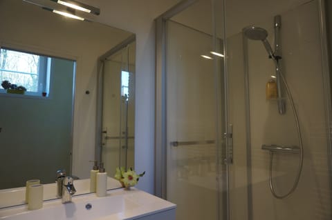 Family Suite (Tulipe/Narcisse) | Bathroom | Shower, free toiletries, hair dryer, towels