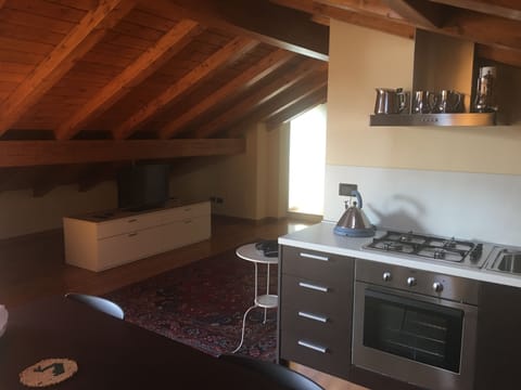 Apartment, 1 Bedroom, Kitchen, Lake View | Private kitchenette | Fridge, electric kettle