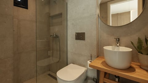 Deluxe Room | Bathroom | Shower, hair dryer, towels