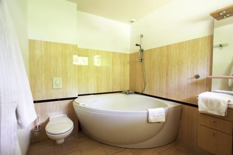 Luxury Suite | Bathroom | Free toiletries, hair dryer, towels