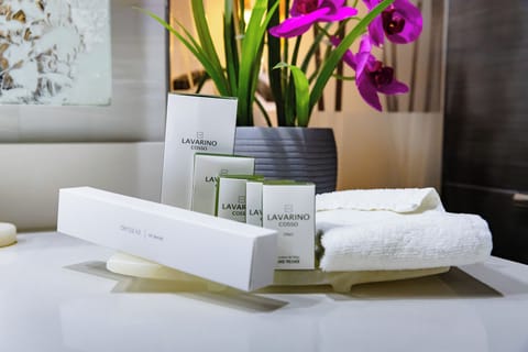 Presidential Suite | Bathroom | Free toiletries, towels