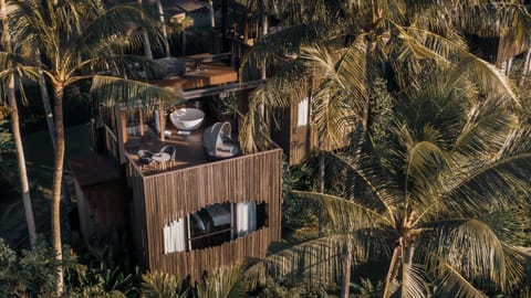 Canopy Suite | View from room