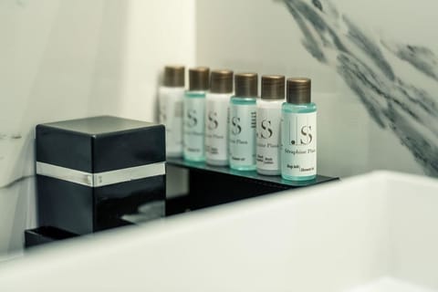 Standard Room, Mountain View | Bathroom | Shower, free toiletries, hair dryer, bathrobes