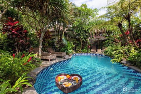 Outdoor pool, free cabanas, pool umbrellas