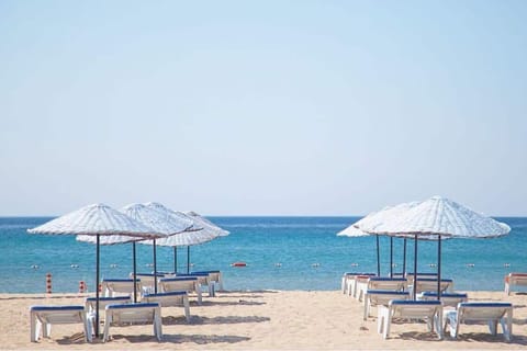 Sun loungers, beach umbrellas, beach volleyball