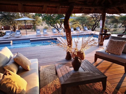 Outdoor pool, pool umbrellas, sun loungers