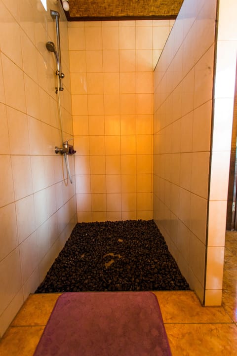 Deluxe Room | Bathroom | Shower, towels, toilet paper