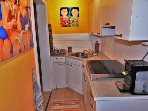 Traditional Apartment, Canal View, Mountainside | Private kitchen | Fridge, stovetop, coffee/tea maker, electric kettle