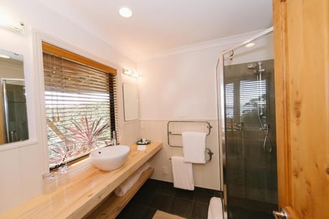 Shower, free toiletries, hair dryer, bathrobes