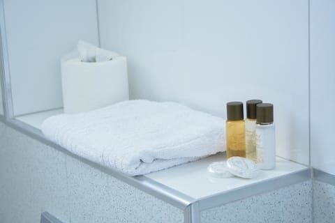 Basic Apartment | Bathroom | Shower, free toiletries, hair dryer