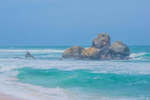 Beach/ocean view