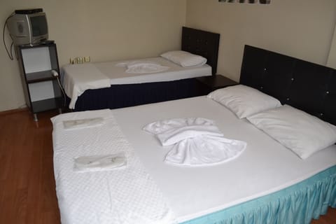 Standard Triple Room | Desk, soundproofing, free WiFi, bed sheets